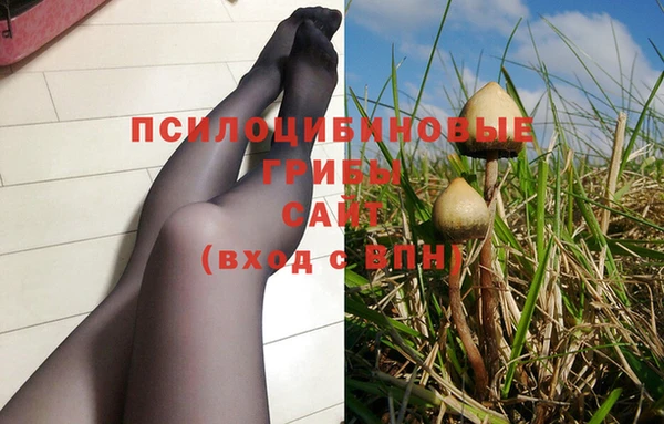 MDMA Premium VHQ Тайга