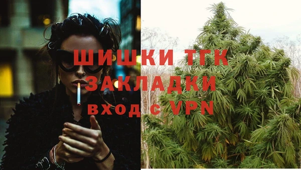 спайс Белокуриха