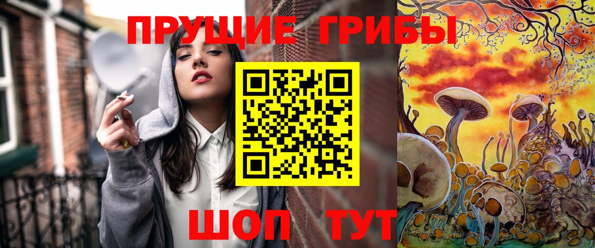 Волжск  Галлюциногенные грибы мицелий  Галлюциногенные грибы Cubensis  Вход с VPN 